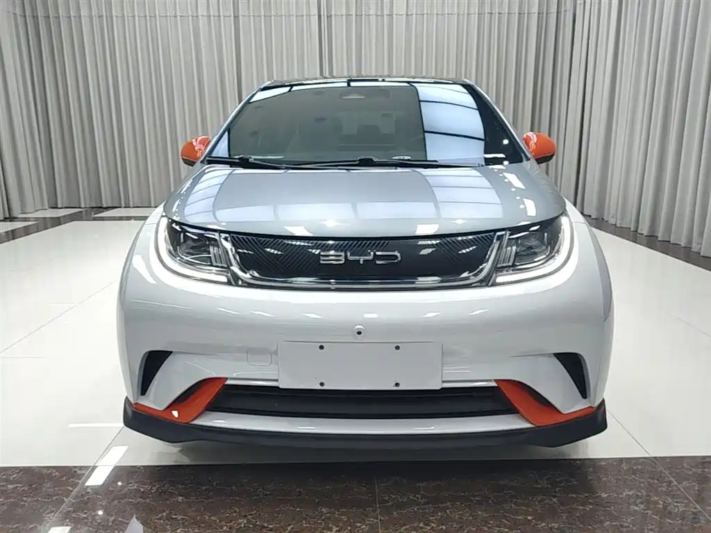 BYD Dolphin 2021 401km Knight Edition фото 3