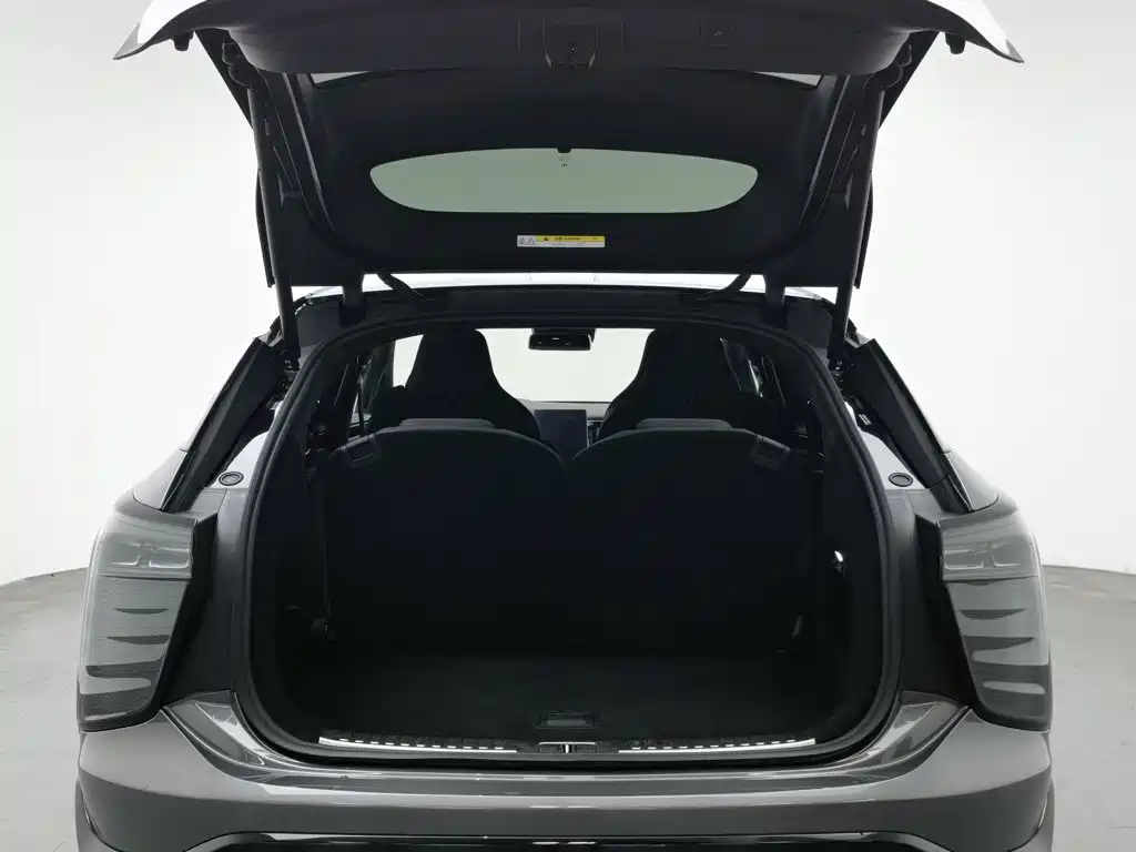 HiPhi X 2022 2021 Flagship Edition 6-Seater
