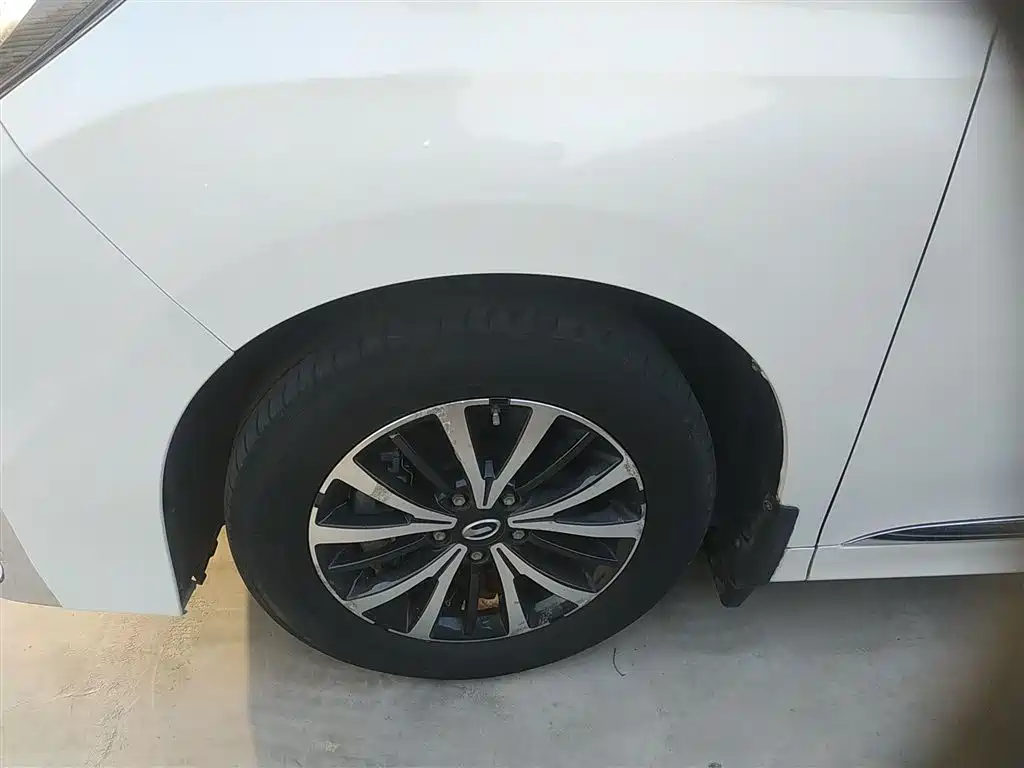 GAC Trumpchi Trumpchi M8 2021 Leading Show Series 390T Premium Edition фото 24