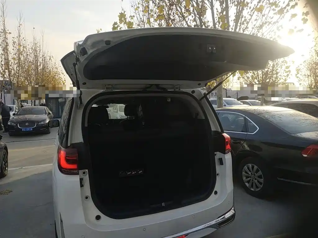 GAC Trumpchi Trumpchi M8 2021 Leading Show Series 390T Premium Edition фото 9