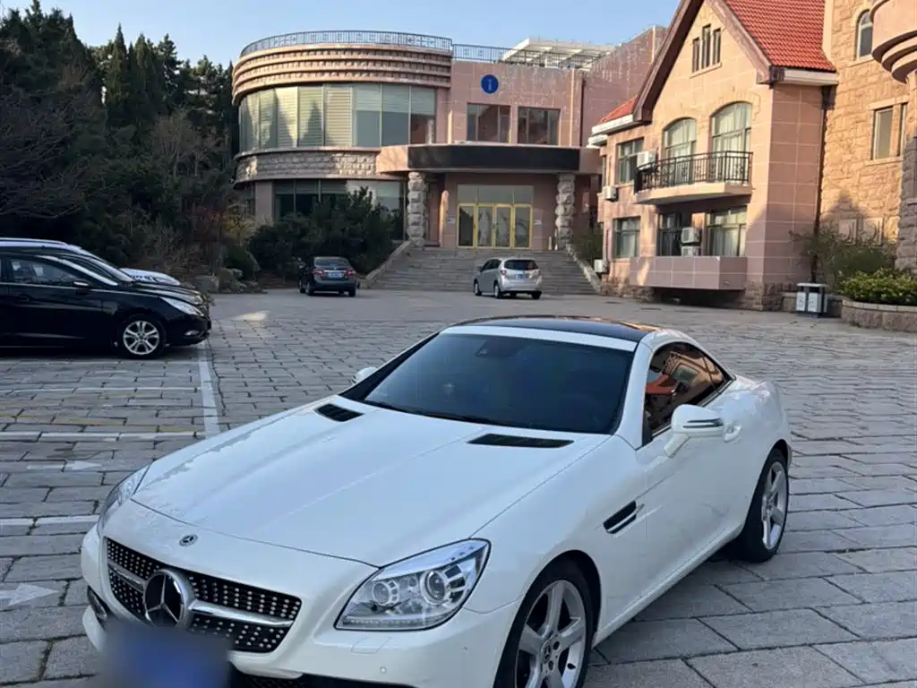 Mercedes-Benz SLK-Class 2011 SLK 200 Fashion фото 4