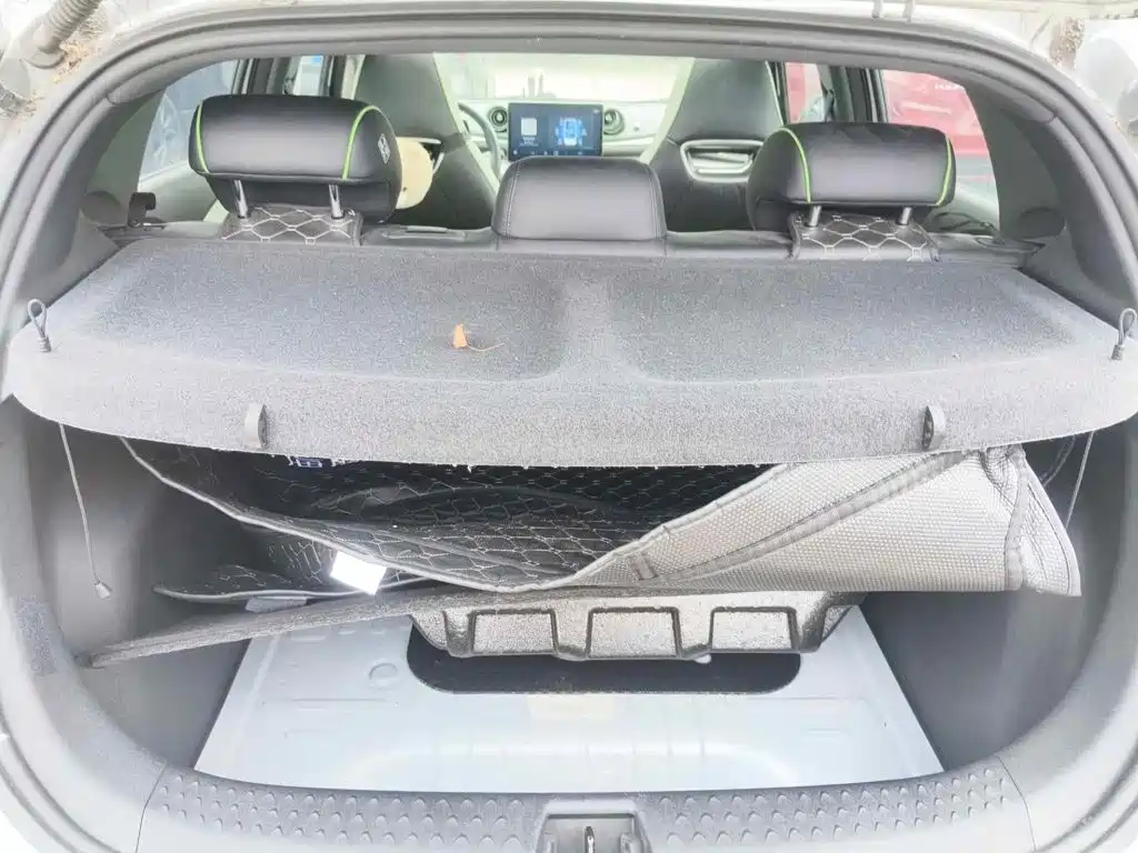 BYD Dolphin 2021 2021 Model 405km Fashion Edition