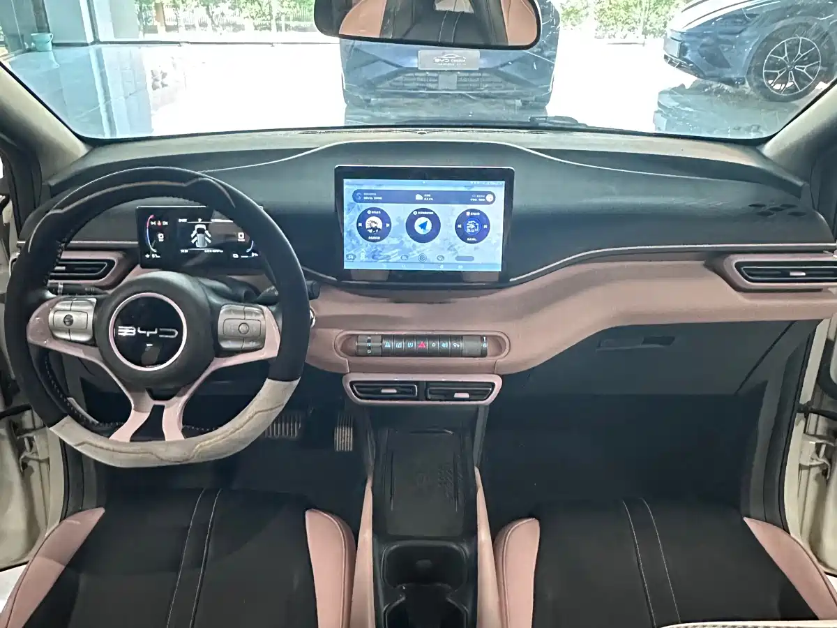 BYD Seagull 2023 Vitality Edition фото 6