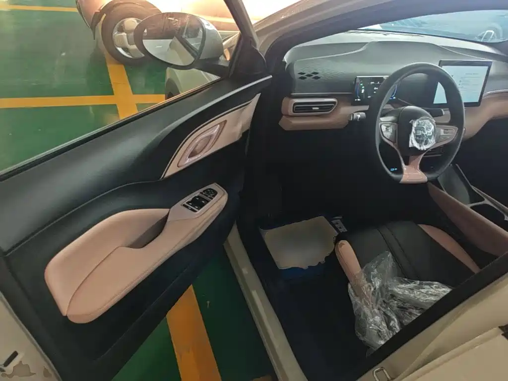 BYD Seagull 2026 2025 Smart Drive Edition 305km Vitality Version