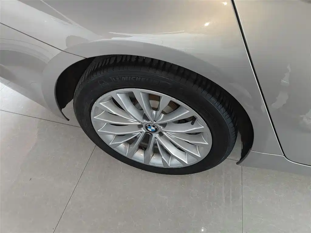 BMW 5 Series 2018 530Li Leading Luxury Package фото 26