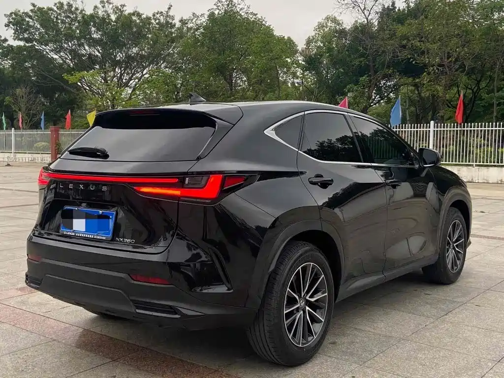 Lexus NX 2023 2023 260 FWD Joy Creation Edition