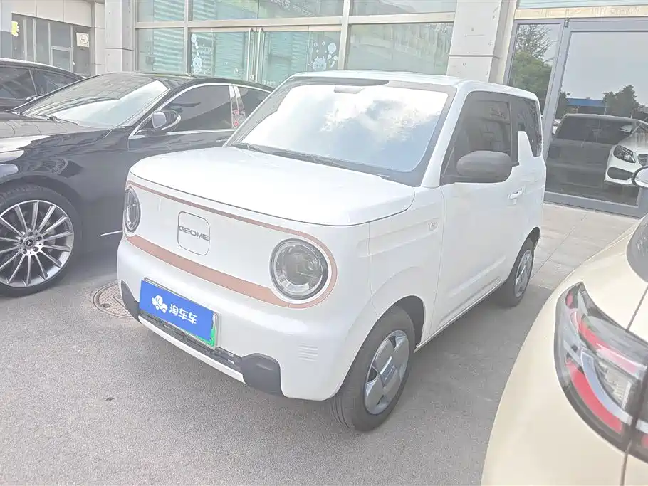 Geely Galaxy Panda 2024 Panda mini 200km Endurance Bear