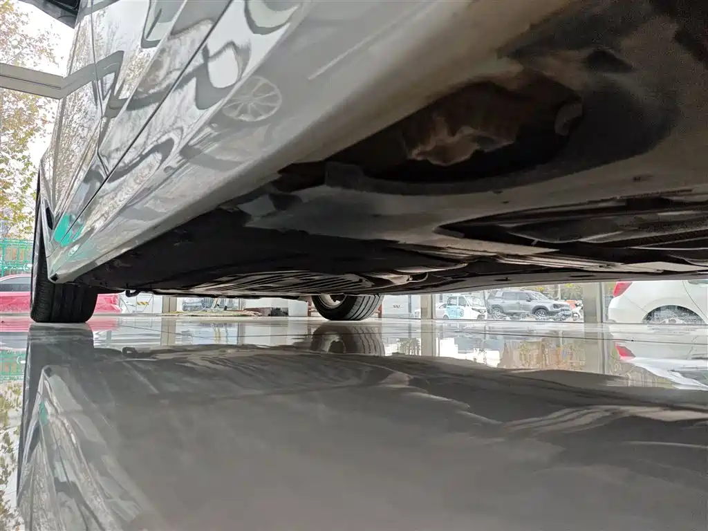 BMW 5 Series 2020 530Li Leading Luxury Package фото 18