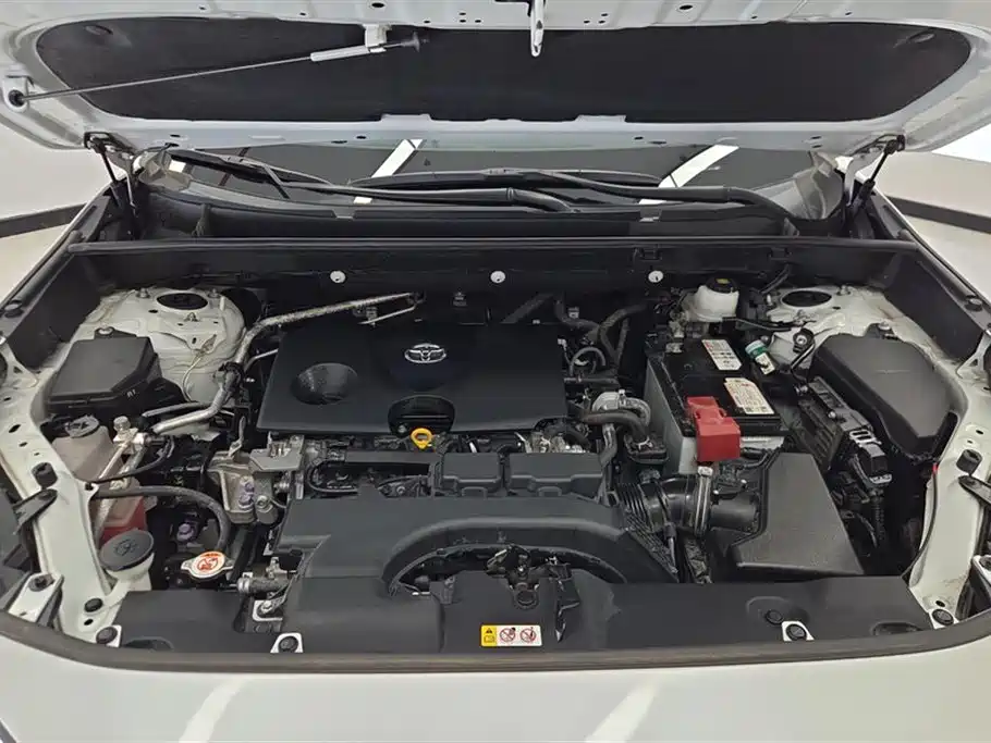 Toyota RAV4 Rongfang 2021 2.0L CVT 2WD Trend PLUS фото 10