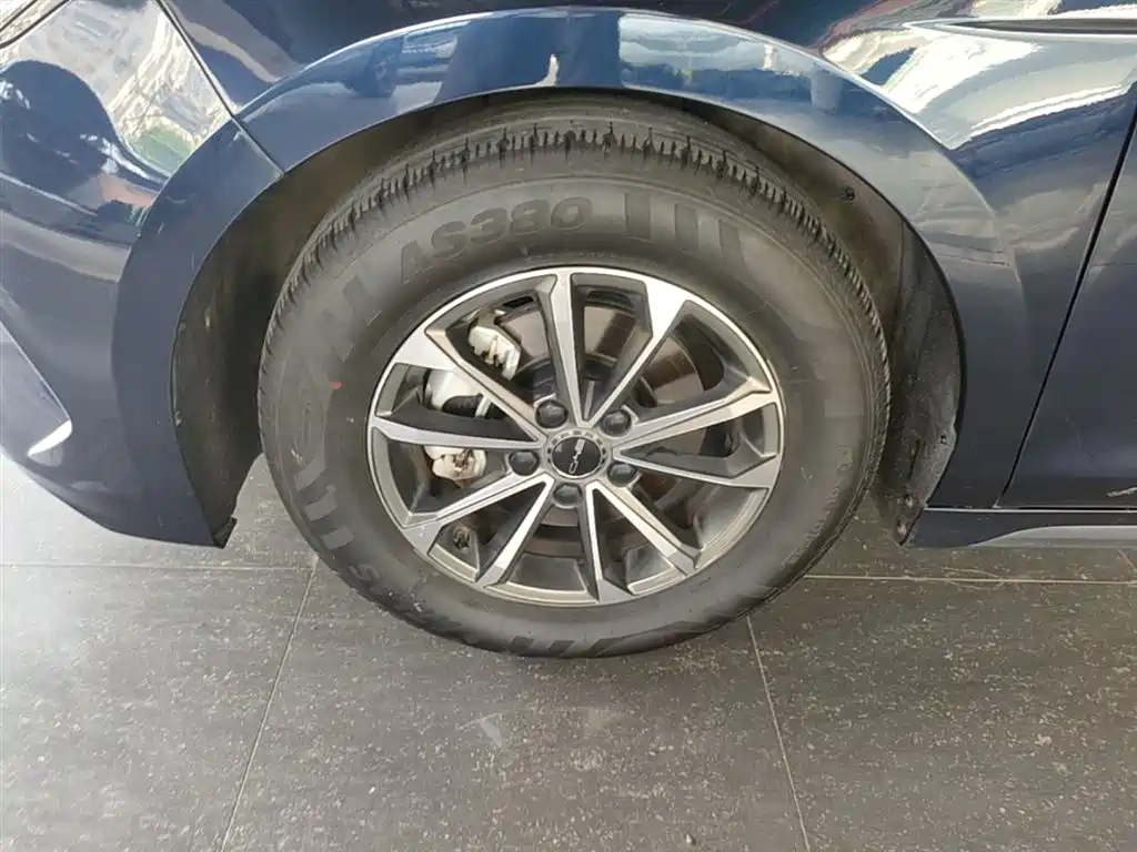 BYD Destroyer 05 2024 Glory Edition DM-i 55KM Luxury фото 23