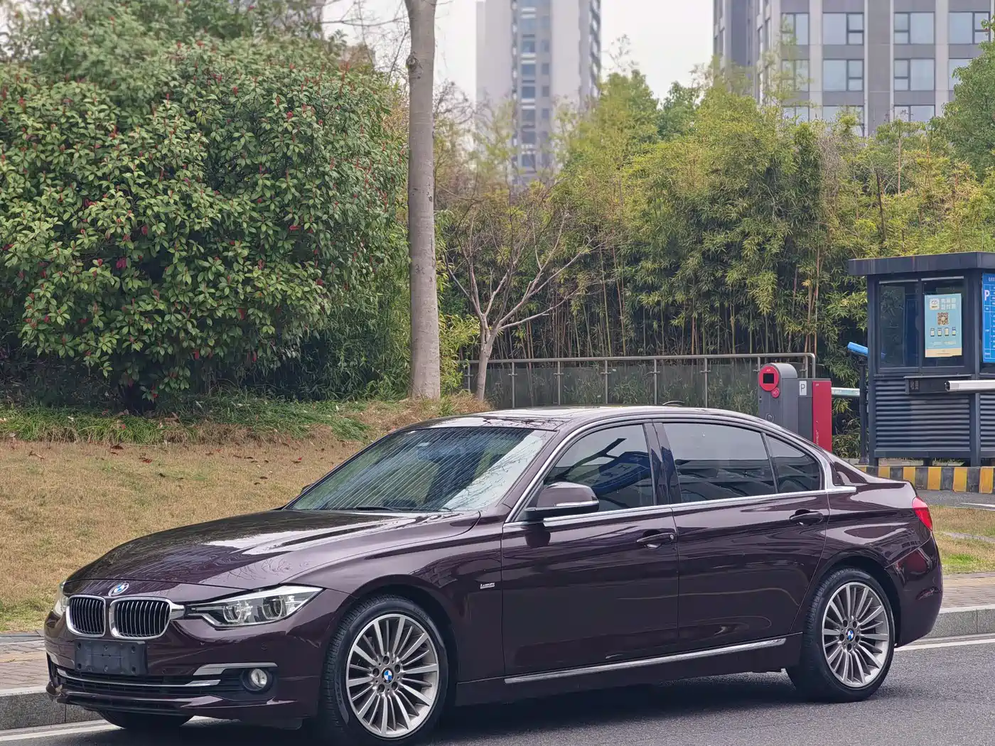 BMW 3 Series 2017 320Li Luxury Design Package