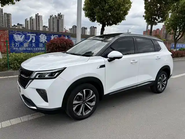 WULING WULING XINGCHEN