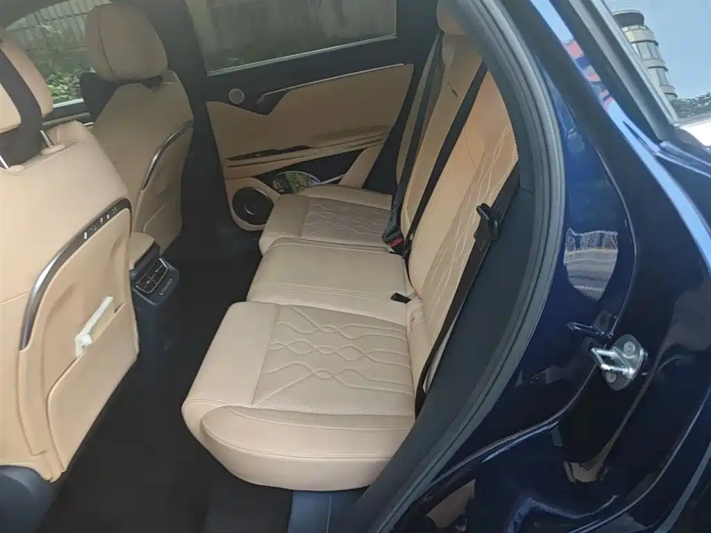 Voyah Auto VOYAH FREE 2021 AWD Standard Range Extender Exclusive Luxury Package фото 15