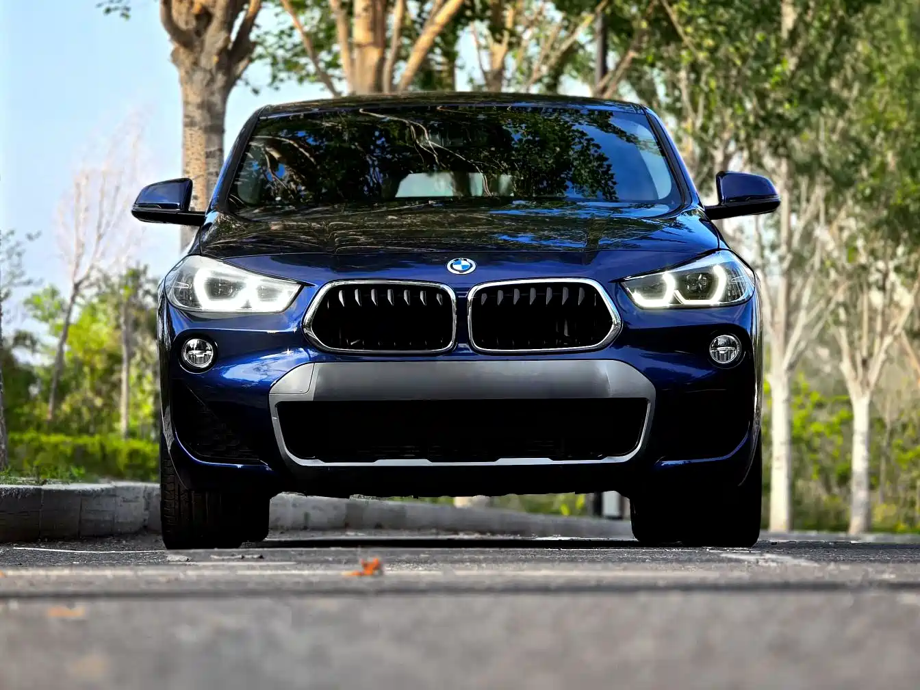 BMW X2 (Import) 2019 sDrive20i M Off-Road Package China VI фото 2