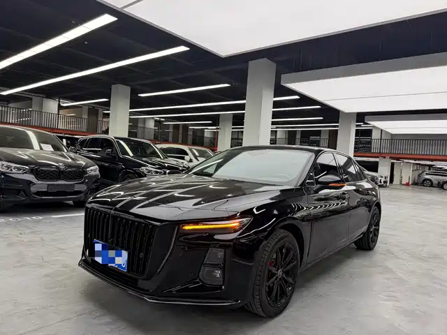 Hongqi H5 2025 1.5T DCT Mystic Shadow 2 Million Edition