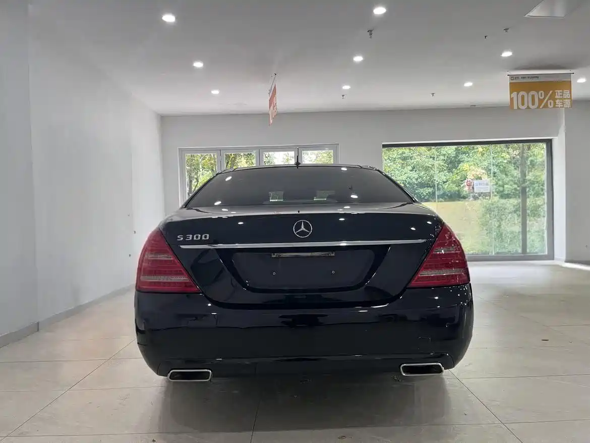 Mercedes-Benz S-Class 2008 S 300 L Business фото 8