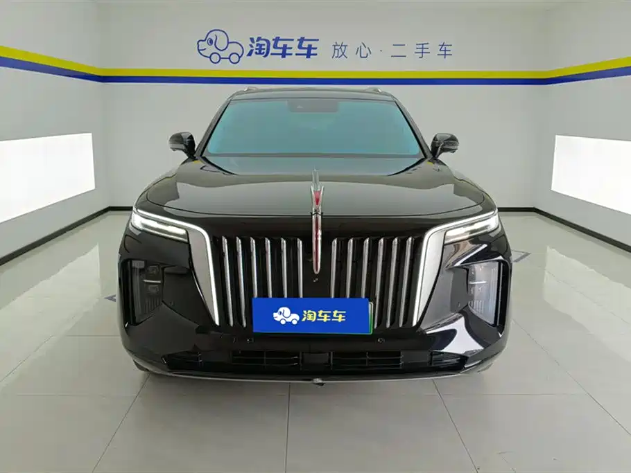 Hongqi E-HS9 2021 460km Flagship Comfort 6-seater фото 2