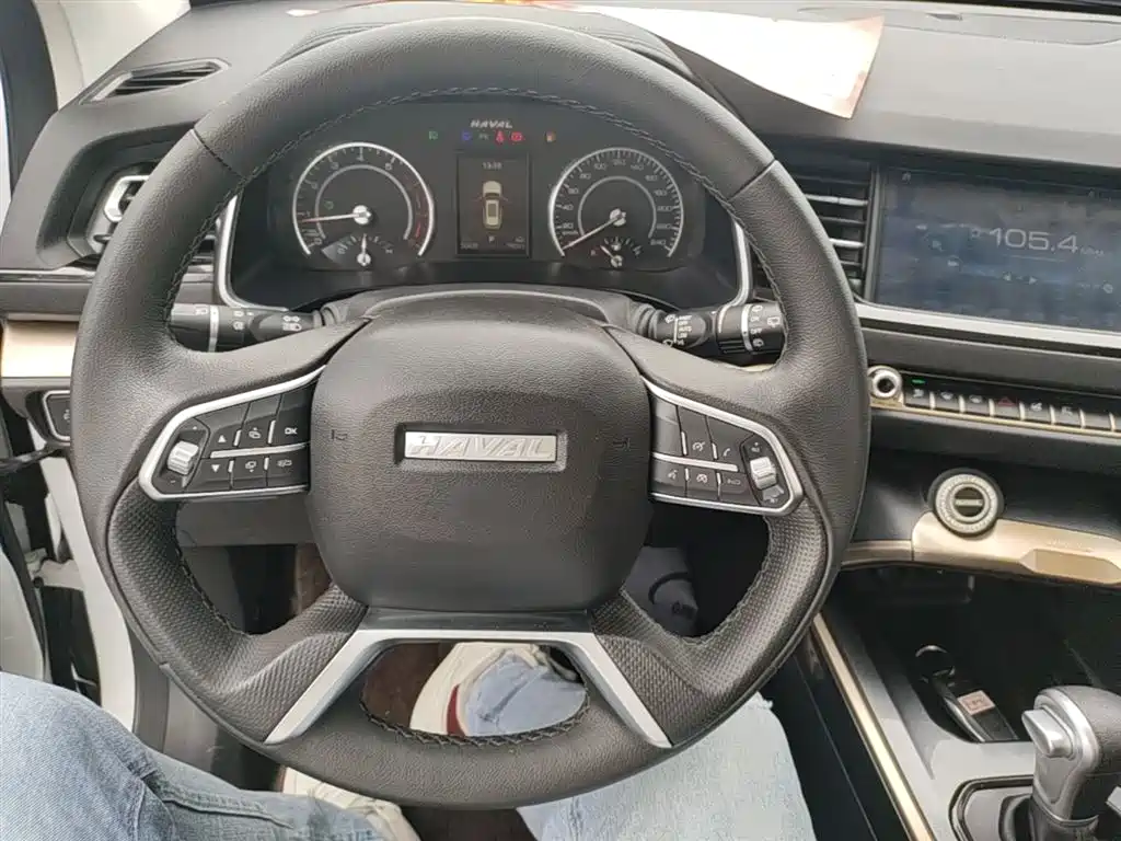 Haval H6 2019 Blue Label 1.5GDIT Automatic Luxury Smart Connect Edition фото 11