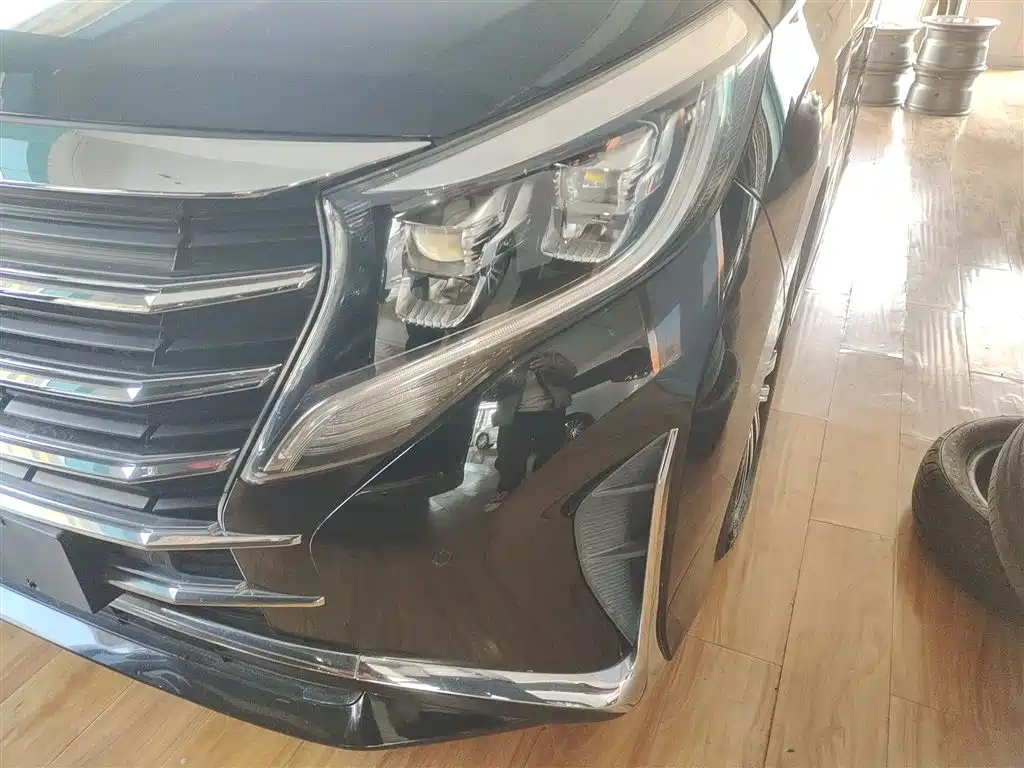 GAC Trumpchi Trumpchi M8 2021 Leading Show Series 390T Prestige Edition фото 24