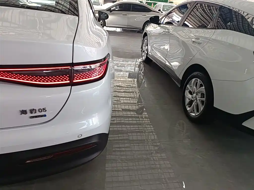 BYD Hai Bao 05 DM-i 2025 DM-i Smart Driving Edition 120KM Flagship фото 8