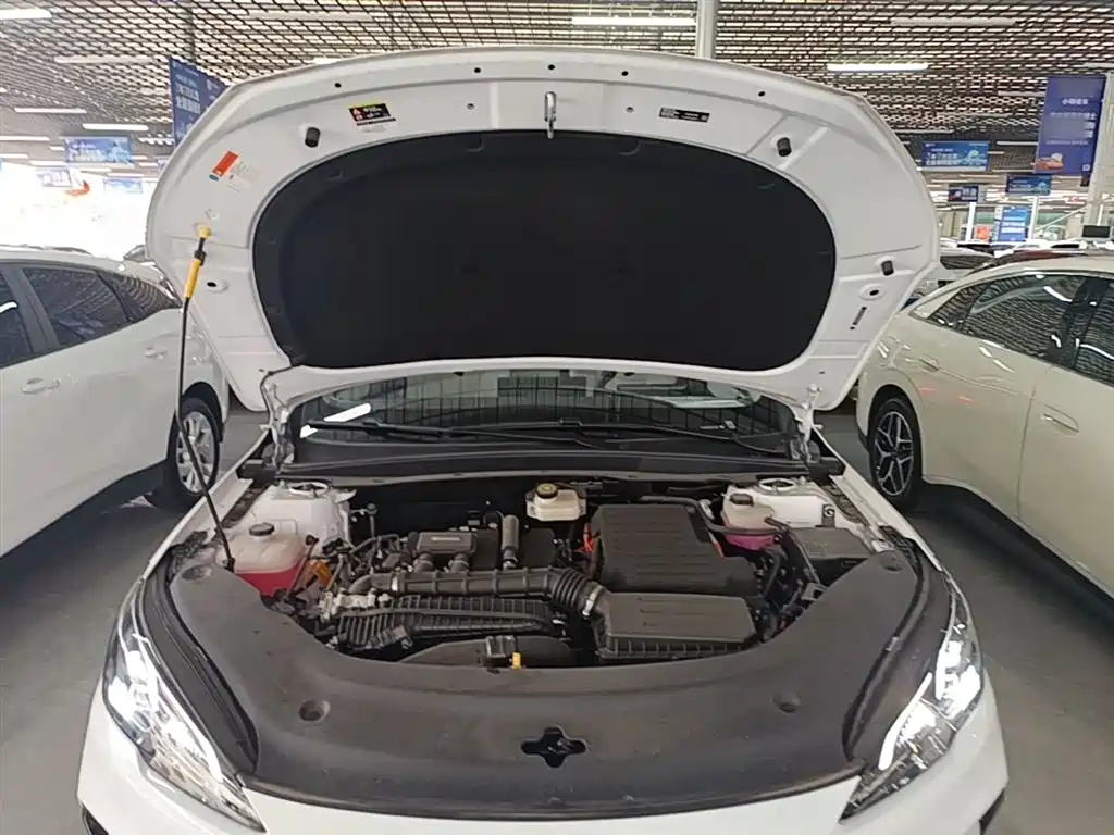 BYD Hai Bao 05 DM-i 2025 DM-i Smart Driving Edition 120KM Flagship фото 20
