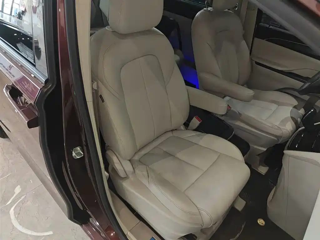 Buick GL8 2022 ES Landmark 653T Comfort фото 17