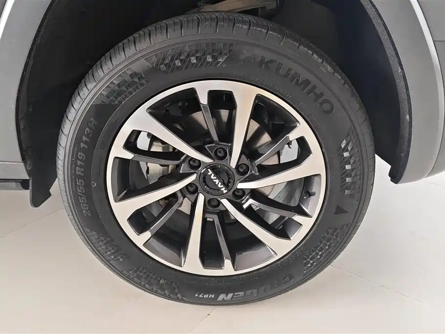 Haval H9 2024 2.0T Gasoline AWD Extreme Edition фото 6