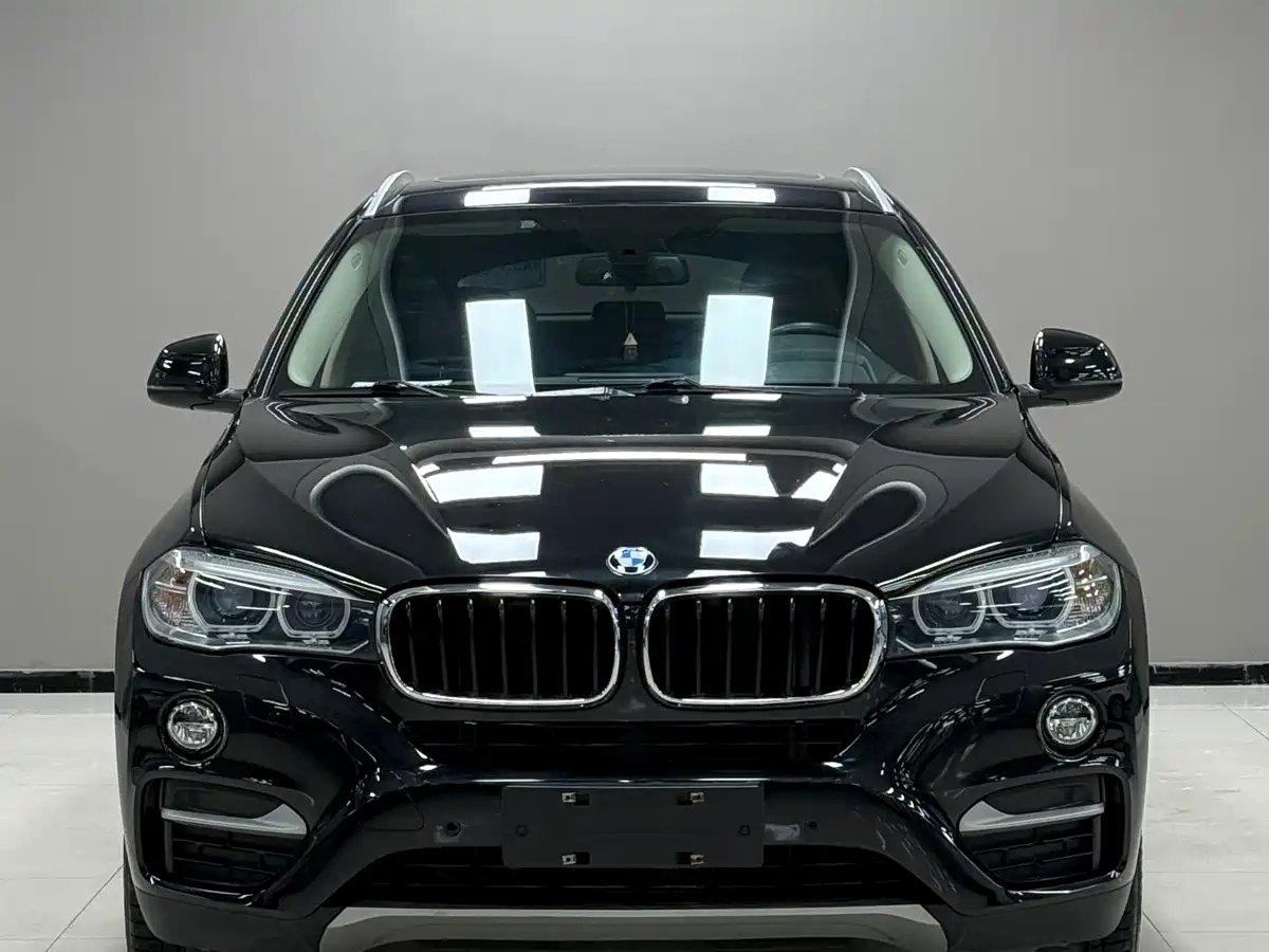 BMW X6 2015 xDrive35i Leading Type фото 3