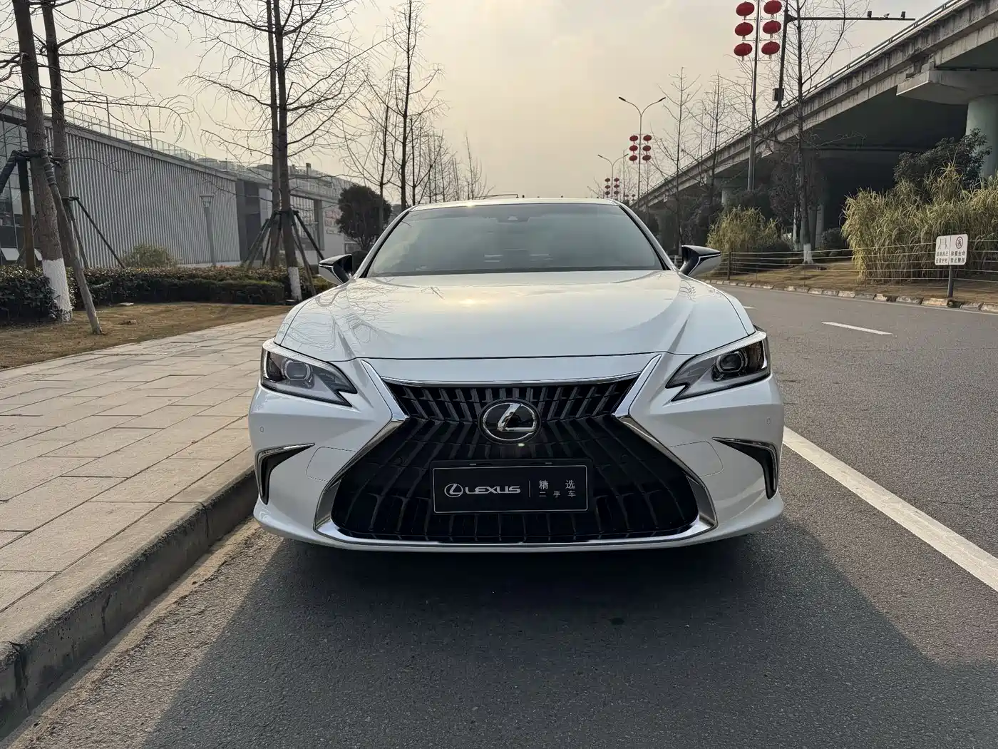 Lexus ES 2022 300h Excellence Edition фото 2