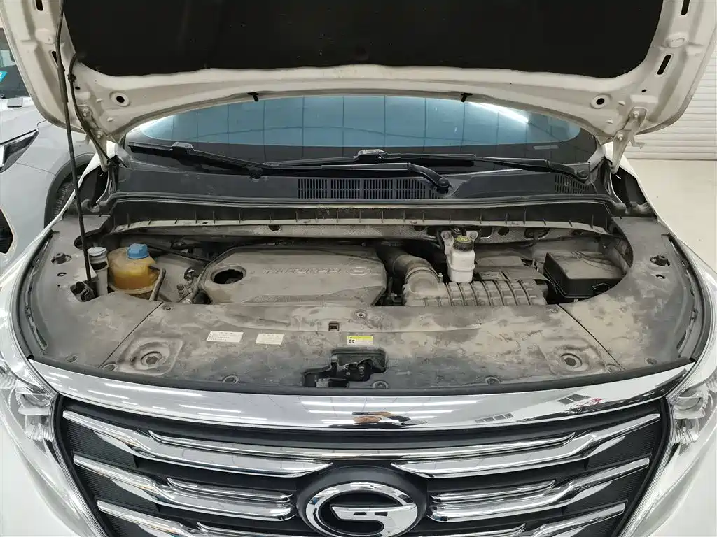 GAC Trumpchi Trumpchi M8 2018 320T Premium Edition фото 20