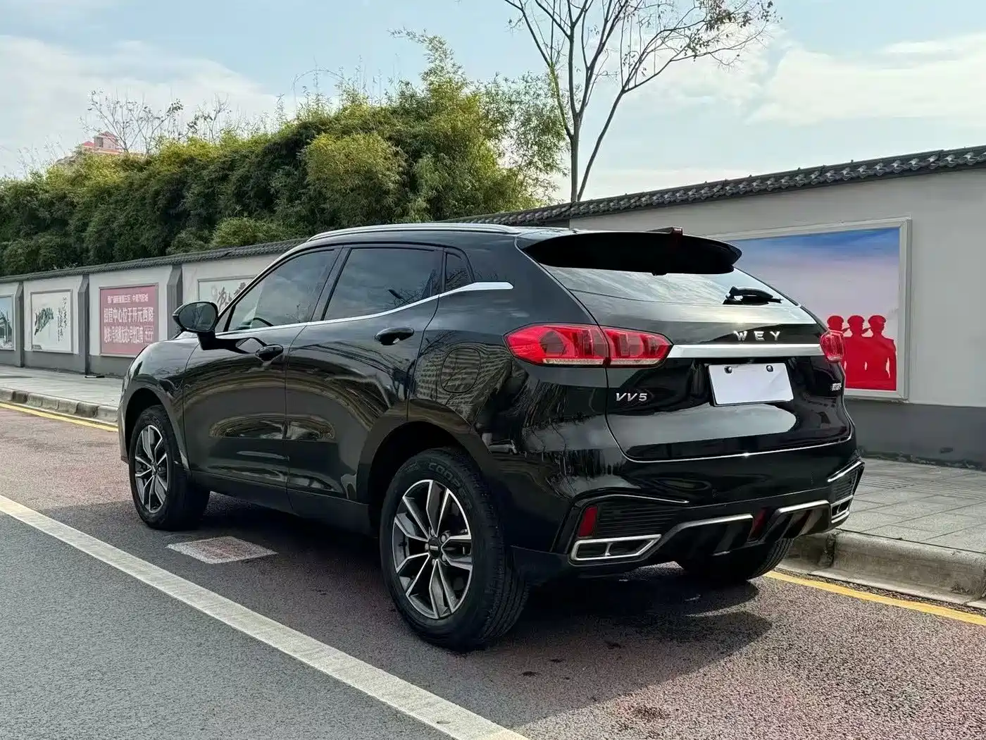 WEI PAI WEI BRAND VV5