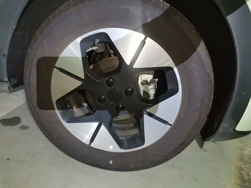 Geely Galaxy Starry Wish 2026 2026 Model 310km Dream Edition