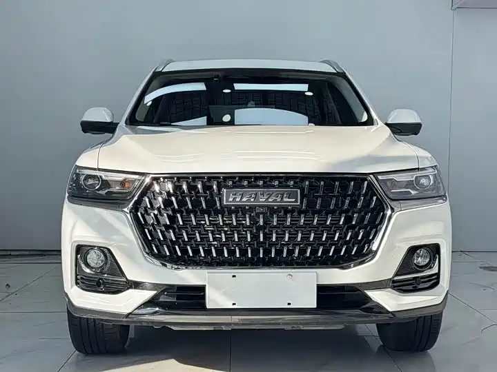 Haval H6 2023 National Trend Edition 1.5T Automatic Champion фото 2
