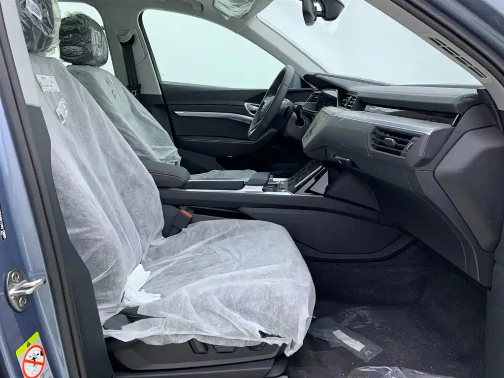 Audi e-tron 2021 50 quattro Luxury фото 14