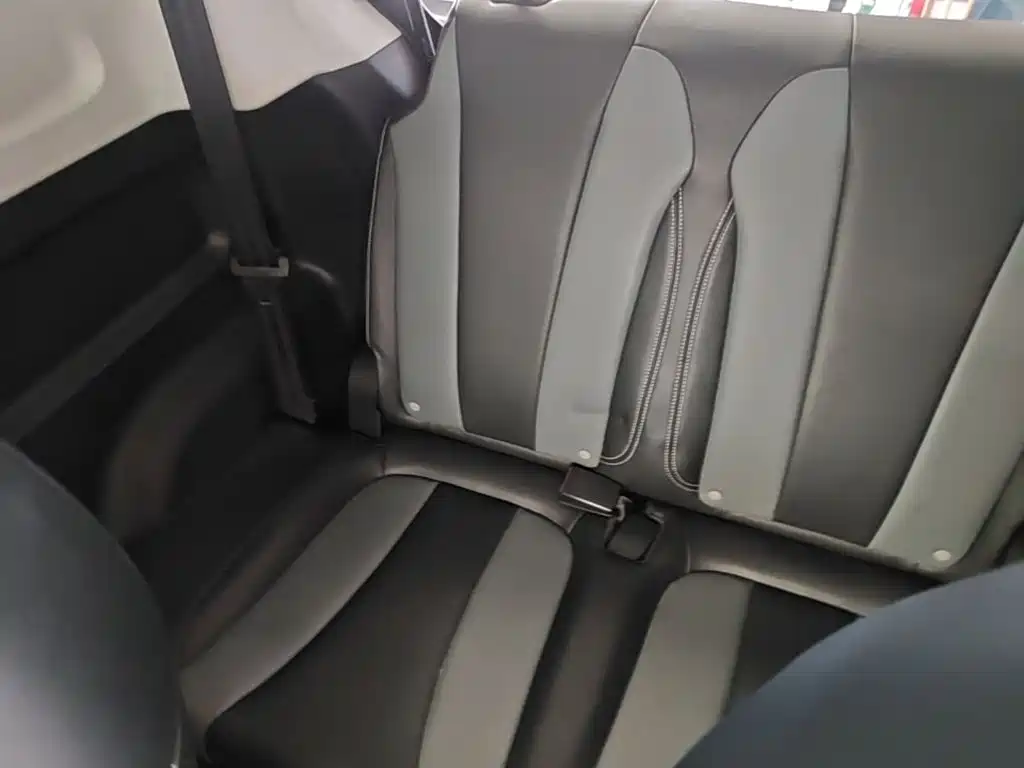 Roewe Clever 2023 2022 311km Vitality Bobo Edition