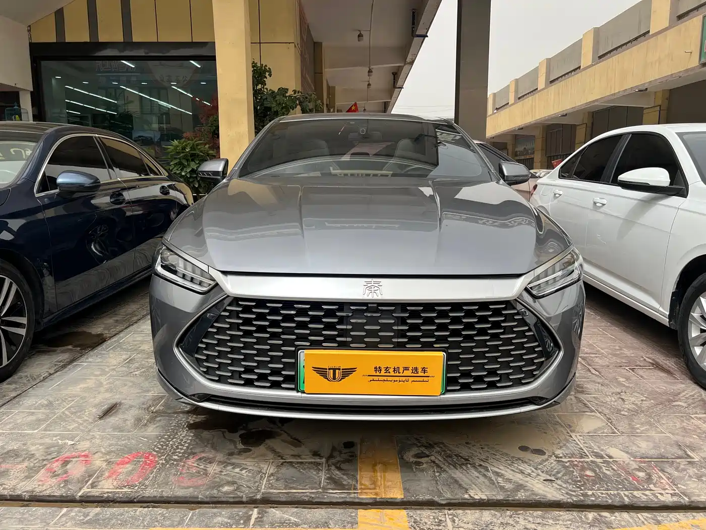 BYD Qin PLUS 2023 Champion Edition DM-i 120KM Excellence фото 2