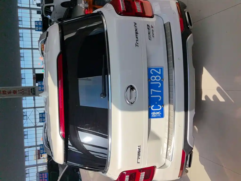 GAC Trumpchi Trumpchi GS8 2019 390T 2WD Luxury Smart Connect Edition (7-seater) фото 6