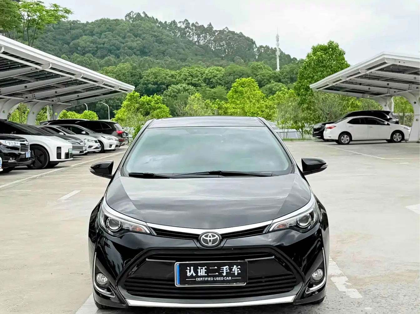 Photo 2 - Toyota Levin