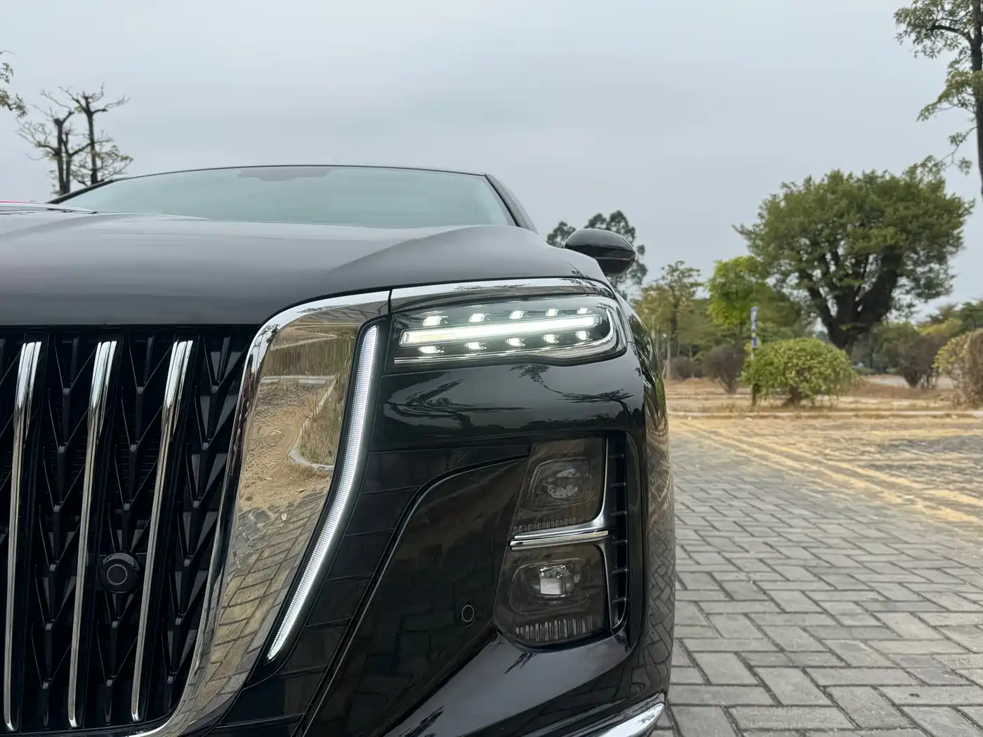 Hongqi H5 2024 1.5T DCT Smart Connect Flag Rhythm Edition фото 15