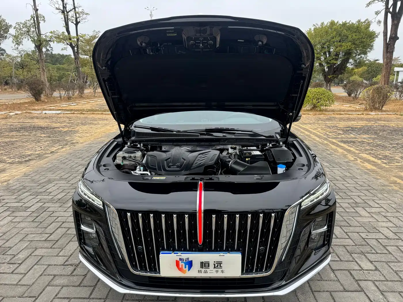 Hongqi H5 2024 1.5T DCT Smart Connect Flag Rhythm Edition фото 16