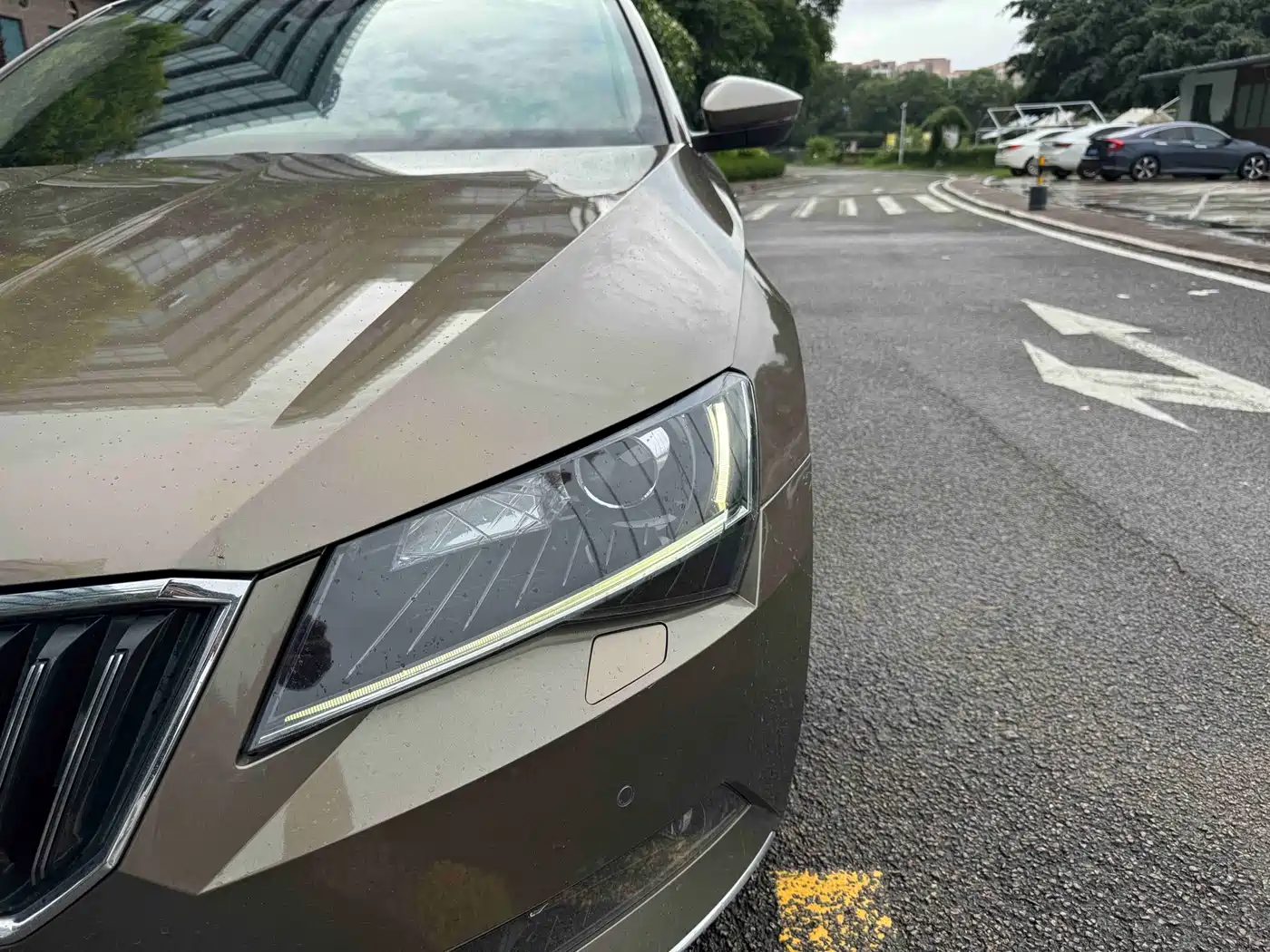 Škoda Superb 2018 TSI330 DSG Luxury Edition China V фото 17