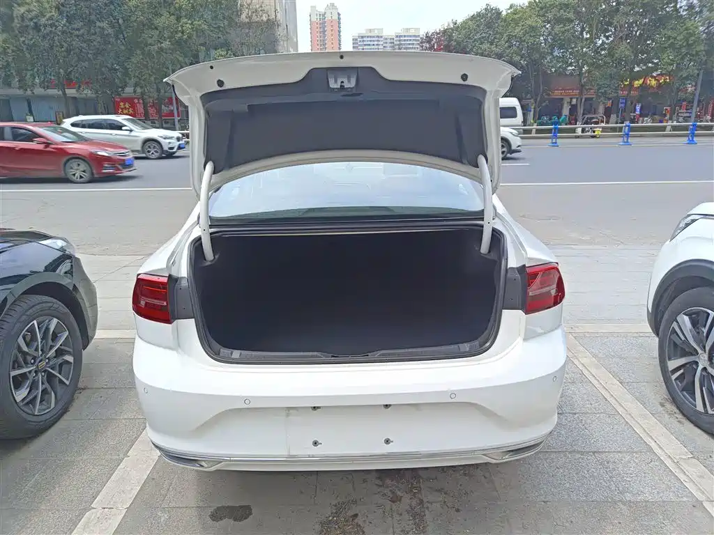 Volkswagen Lamando 2019 280TSI DSG Comfort Edition China V фото 20