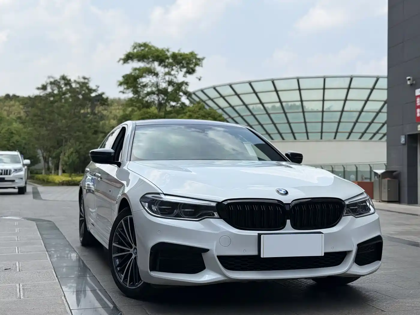 BMW 5 Series 2020 530Li Leading M Sport Package фото 3
