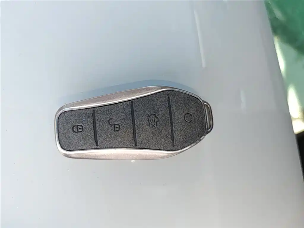 BYD Seal 06 New Energy 2024 DM-i 120KM Flagship фото 9