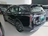 صورة 5 - Hongqi HS7 PHEV
