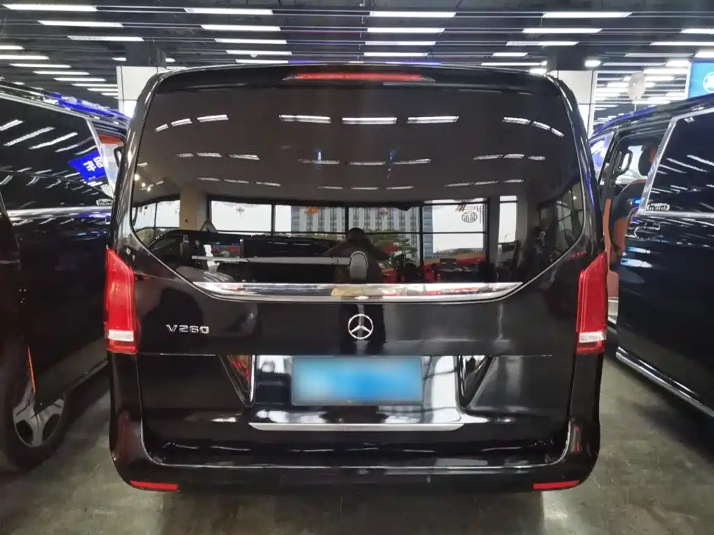 Mercedes-Benz V-Class 2018 V 260 Pilot Edition China V фото 6