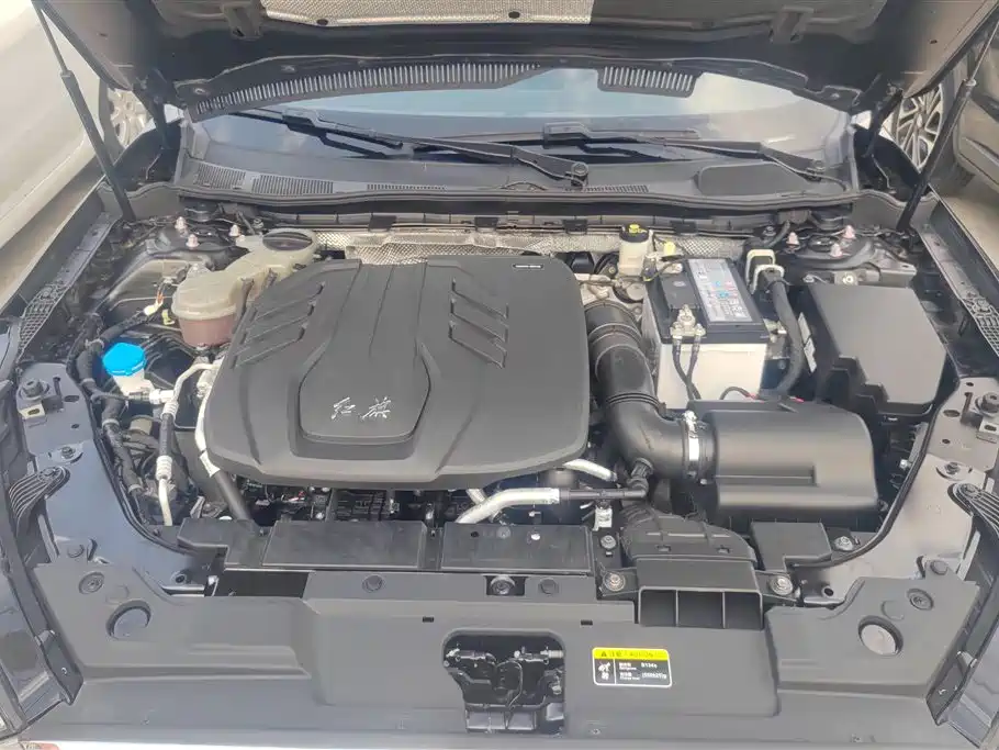 Hongqi H5 2020 1.5T DCT Qi Rhythm Edition фото 10
