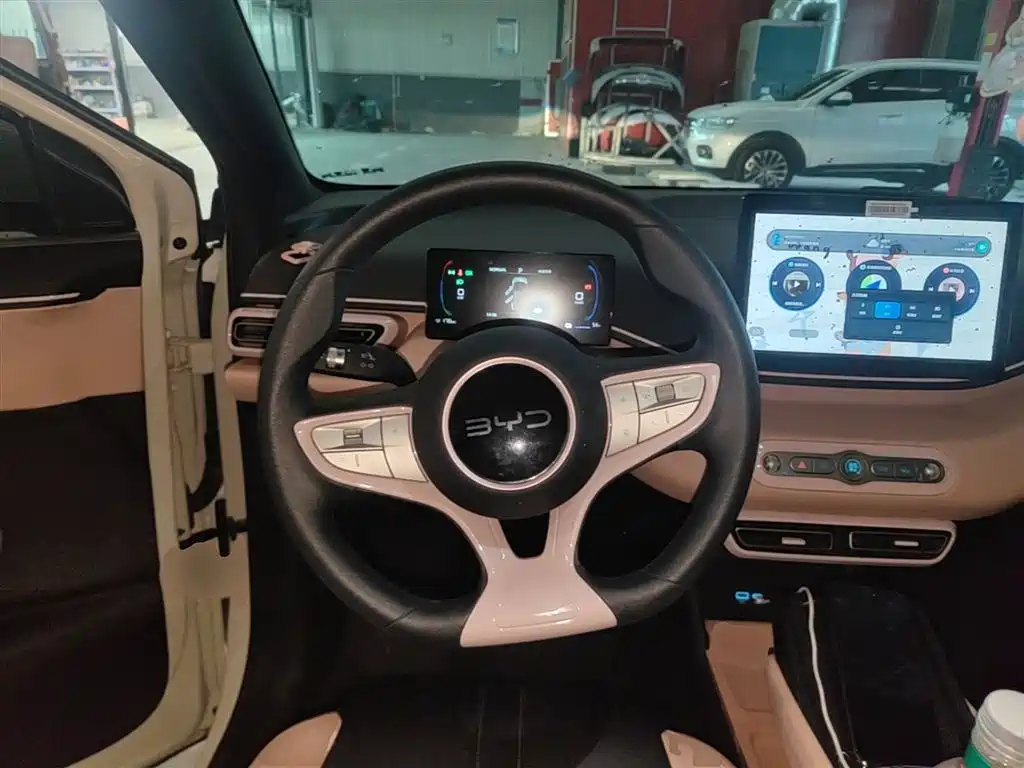 BYD Seagull 2025 Smart Drive Edition 305km Vitality Version фото 11