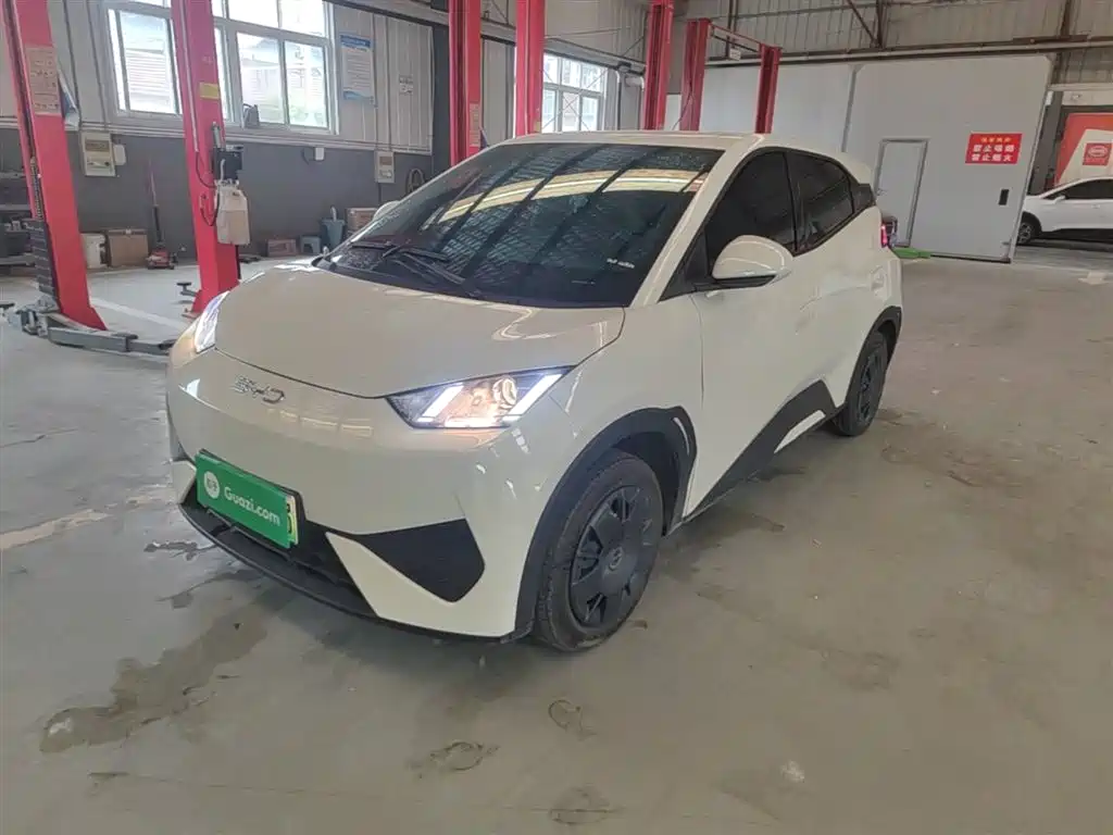 BYD Seagull 2025 Smart Drive Edition 305km Vitality Version