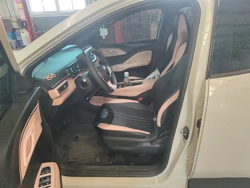 BYD Seagull 2025 Smart Drive Edition 305km Vitality Version фото 15